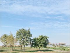 -汉景帝阳陵博物院