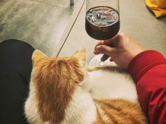 -五进制 Coffee Shop