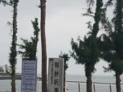 -万绿园