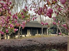 -上海市龙华烈士陵园