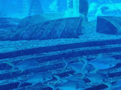 -亚特兰蒂斯•OSSIANO奥西亚诺海底餐厅