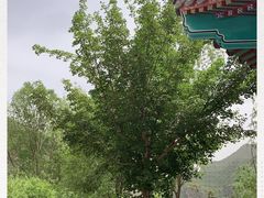 -百里山水画廊-恐龙游乐园