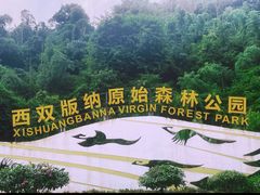 -西双版纳原始森林公园
