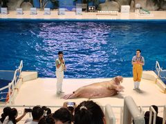 -泉城欧乐堡海洋极地世界
