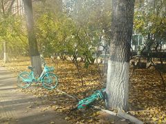 -黑龙江大学