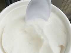 -洪馨椰子