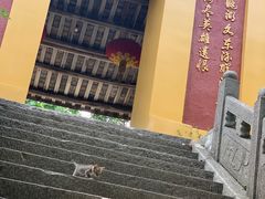 -冶父山国家森林公园