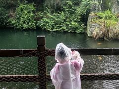 -千岛湖东南湖区