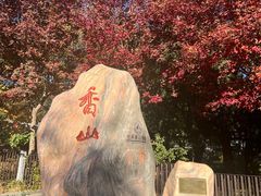 -北京西山国家森林公园