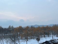 -北京西山国家森林公园