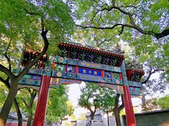 -北京国子监胡同
