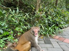 -黔灵山公园