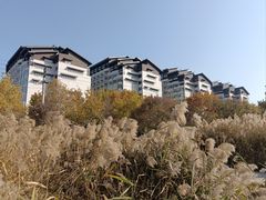 -百脉泉景区