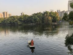 -荔湾湖公园