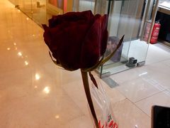 凯德广场&nbsp;情人节-凯德广场(学府店)