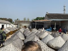 -苏州市吴中区光福窑上花果蜜饯厂