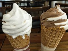 双拼甜筒-CHOCHENG&CO.(欢乐海岸店)