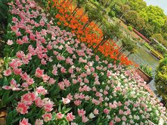 -上海鲜花港