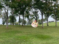 -盘龙城国家考古遗址公园