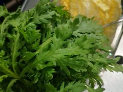 -王家渡火锅店(棕榈泉店)