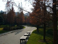 -苏州河梦清园环保主题公园