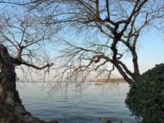 -浙江西子宾馆·瑶园咖啡厅