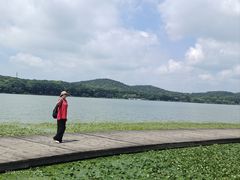 -水上明月·湖景餐厅