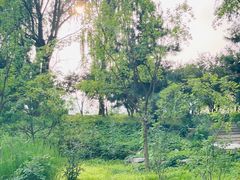 -海淀公园
