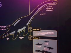 -悉尼海洋生物水族馆