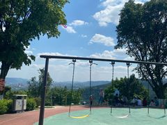 -铁山坪森林公园