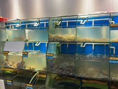水产区-胖大嫂渔家排档(半边山店)