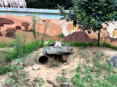 -杭州少年儿童公园