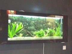 -乔家大院私房菜(海佳云顶店)