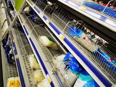 -麦德龙(郑东店)