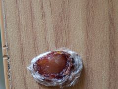 -美联众合动物医院·24h京西诊疗中心