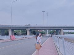 -海堤纪念公园