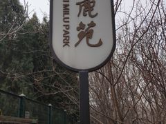 -北京麋鹿生态实验中心