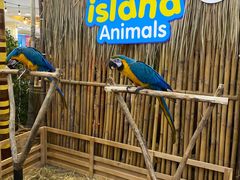 -尚泰清迈机场购物中心