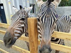 -水上乐园·欢乐世界