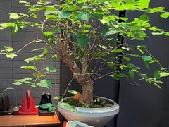 -王府茶楼茶宴·创意菜(朝阳公园店)