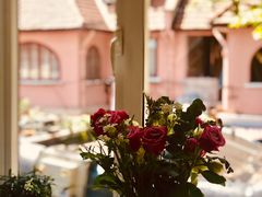 -蝶舍·MAISON PAPILLON