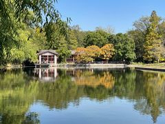 -上海共青森林公园