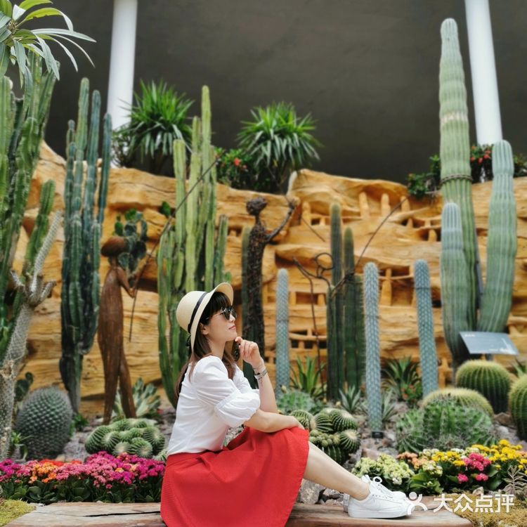 2021年第十届花博会在上海开幕啦❗❗