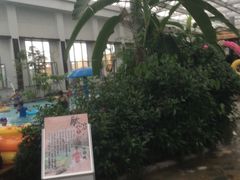 -天源吉布世温泉水乐园