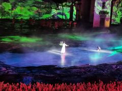 -婺源梦里老家大型山水实景演出