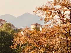 -肥妹烧腊店(洪湖店)