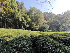 -敬亭山风景名胜区