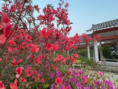 -梧桐山风景名胜区