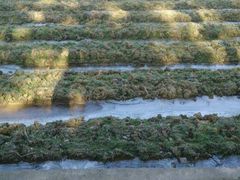 -韶山毛泽东同志故居