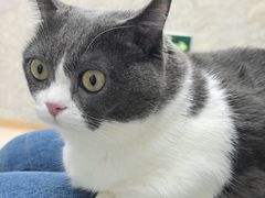 -良伴无忧宠物医院(泰欣嘉园店)